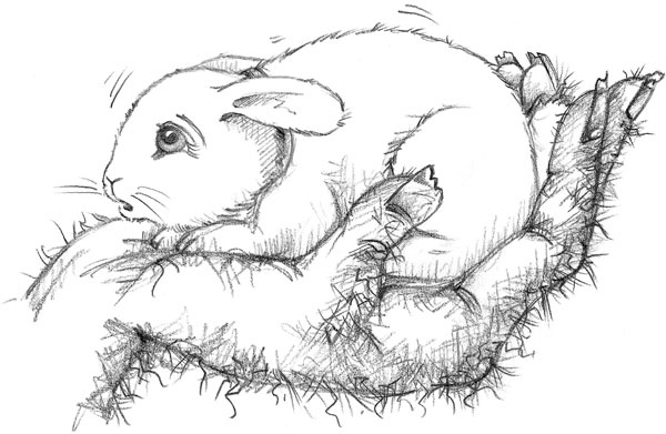 Иллюстрация к книге — Крольчонок Люси, или Волшебная встреча [_070.jpg]