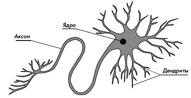 Иллюстрация к книге — Первый год жизни решает все! 365 секретов правильного развития. Этот удивительный младенец [_088.jpg]