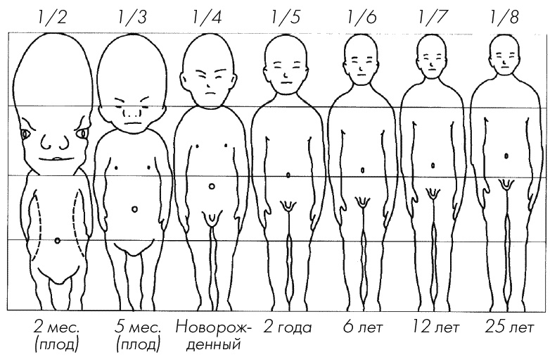 Иллюстрация к книге — Первый год жизни решает все! 365 секретов правильного развития. Этот удивительный младенец [_151.jpg]