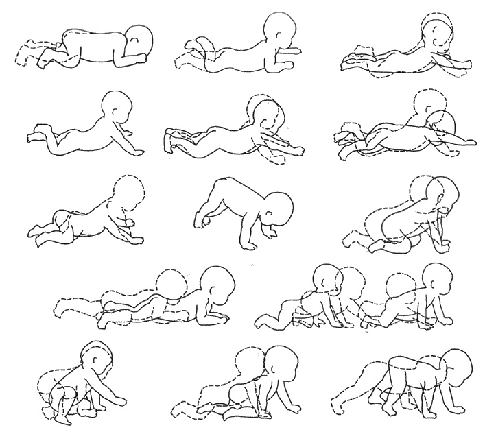 Иллюстрация к книге — Первый год жизни решает все! 365 секретов правильного развития. Этот удивительный младенец [_160.jpg]