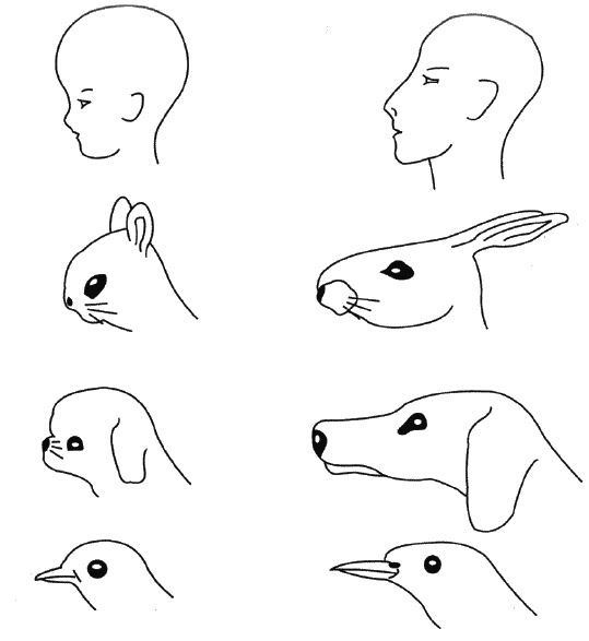 Иллюстрация к книге — Первый год жизни решает все! 365 секретов правильного развития. Этот удивительный младенец [_265.jpg]