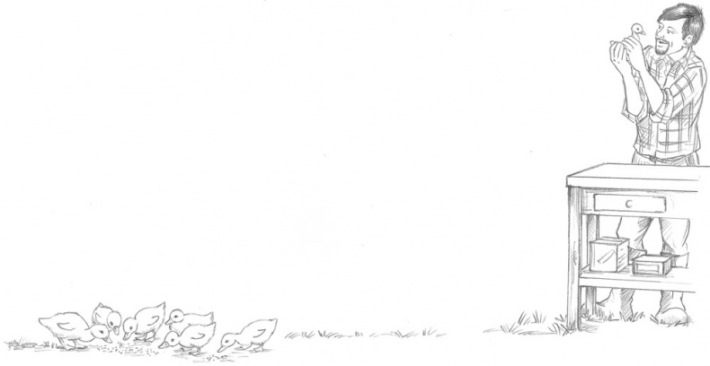 Иллюстрация к книге — Утёнок Элли, или Украденный праздник [_011.jpg]