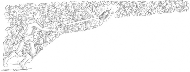 Иллюстрация к книге — Утёнок Элли, или Украденный праздник [_090.jpg]