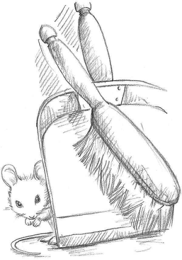 Иллюстрация к книге — Мышонок Молли, или Ярмарка чудес [_013.jpg]