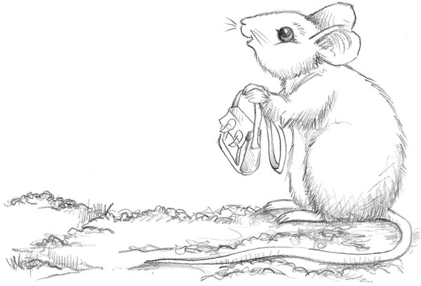 Иллюстрация к книге — Мышонок Молли, или Ярмарка чудес [_033.jpg]