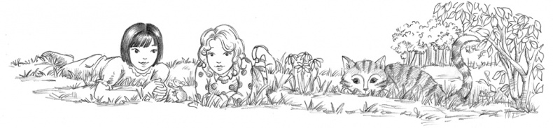 Иллюстрация к книге — Мышонок Молли, или Ярмарка чудес [_100.jpg]