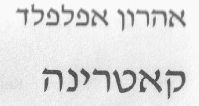 Иллюстрация к книге — Катерина [i_002.jpg]