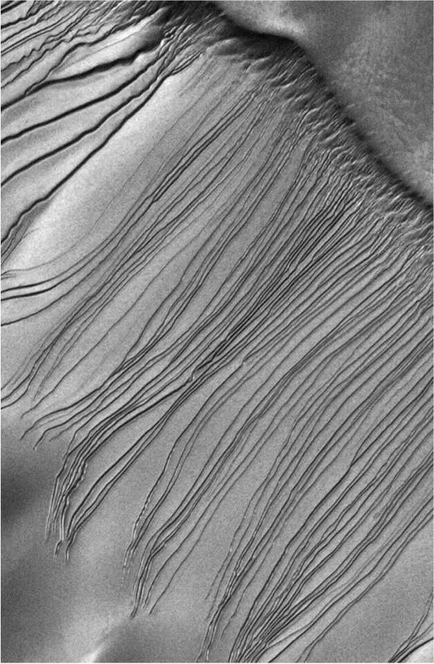 Иллюстрация к книге — Последний космический шанс [i_058.jpg]