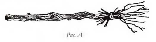 Иллюстрация к книге — Квиддич с древности до наших дней [i_004.jpg]