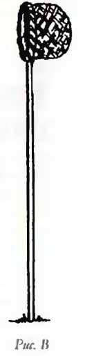 Иллюстрация к книге — Квиддич с древности до наших дней [i_006.jpg]