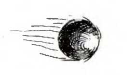 Иллюстрация к книге — Квиддич с древности до наших дней [i_012.jpg]