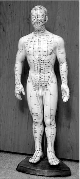 Иллюстрация к книге — От сомнений к определенности. Опыт врача [i_001.jpg]