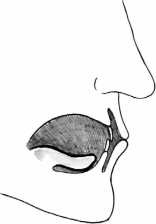 Иллюстрация к книге — От сомнений к определенности. Опыт врача [i_004.jpg]