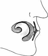 Иллюстрация к книге — От сомнений к определенности. Опыт врача [i_005.jpg]