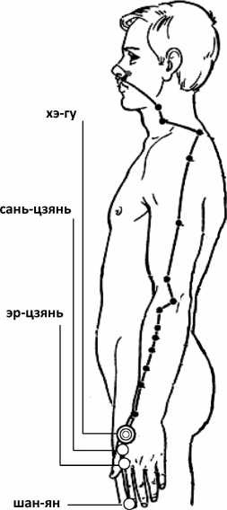 Иллюстрация к книге — От сомнений к определенности. Опыт врача [i_008.jpg]