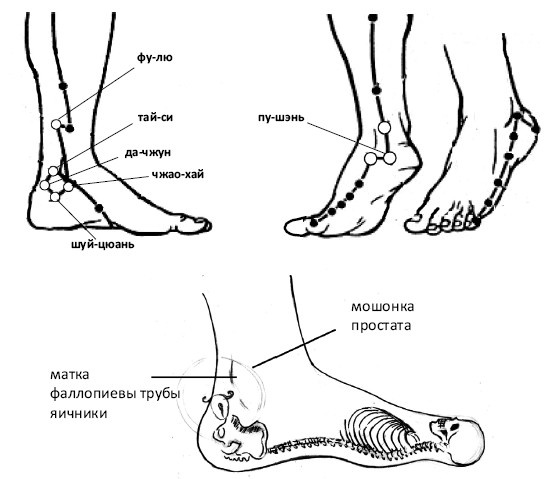 Иллюстрация к книге — От сомнений к определенности. Опыт врача [i_027.jpg]