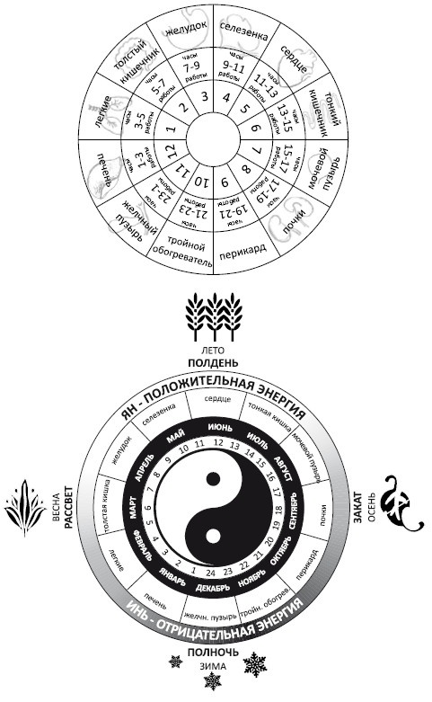 Иллюстрация к книге — От сомнений к определенности. Опыт врача [i_030.jpg]