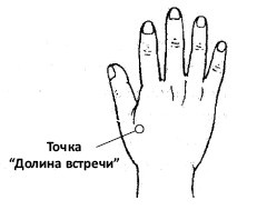 Иллюстрация к книге — От сомнений к определенности. Опыт врача [i_031.jpg]