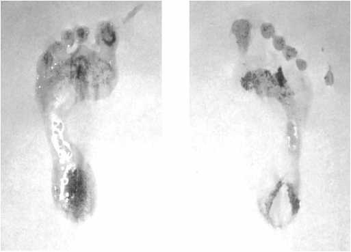 Иллюстрация к книге — От сомнений к определенности. Опыт врача [i_037.jpg]