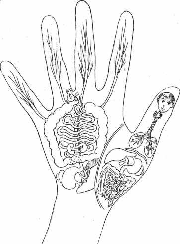 Иллюстрация к книге — От сомнений к определенности. Опыт врача [i_039.jpg]