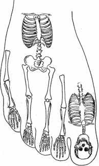 Иллюстрация к книге — От сомнений к определенности. Опыт врача [i_040.jpg]