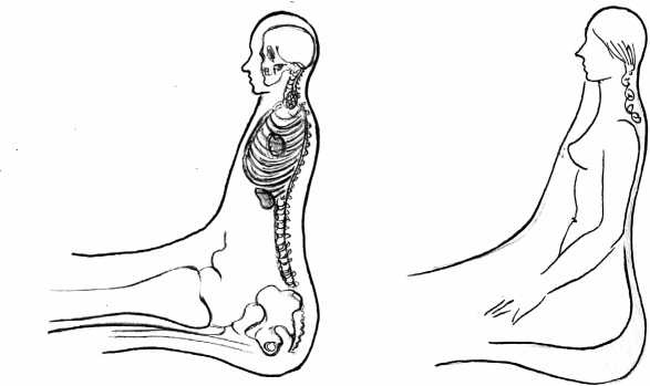 Иллюстрация к книге — От сомнений к определенности. Опыт врача [i_049.jpg]