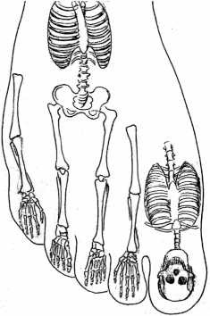 Иллюстрация к книге — От сомнений к определенности. Опыт врача [i_051.jpg]