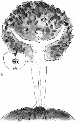 Иллюстрация к книге — От сомнений к определенности. Опыт врача [i_070.jpg]