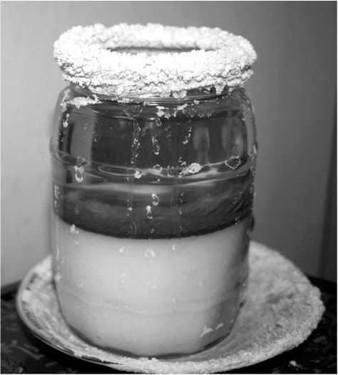 Иллюстрация к книге — От сомнений к определенности. Опыт врача [i_071.jpg]