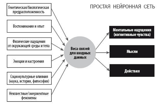 Иллюстрация к книге — Разум VS Мозг. Разговор на разных языках [i_001.jpg]