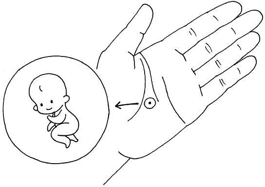 Иллюстрация к книге — Ваш любимый человечек от зачатия до рождения [i_002.jpg]