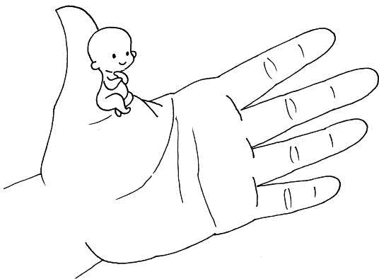 Иллюстрация к книге — Ваш любимый человечек от зачатия до рождения [i_003.jpg]