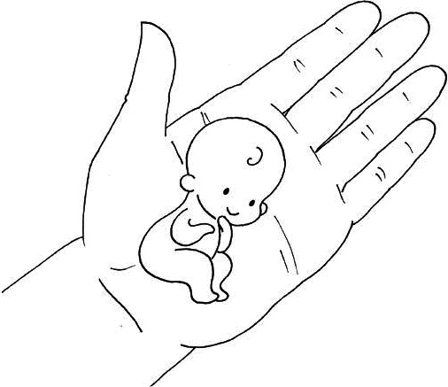 Иллюстрация к книге — Ваш любимый человечек от зачатия до рождения [i_004.jpg]