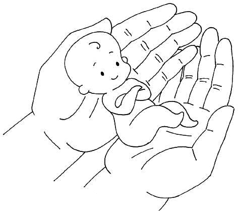 Иллюстрация к книге — Ваш любимый человечек от зачатия до рождения [i_005.jpg]