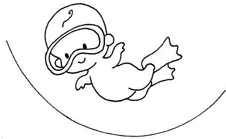 Иллюстрация к книге — Ваш любимый человечек от зачатия до рождения [i_009.jpg]