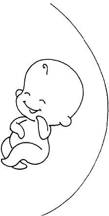 Иллюстрация к книге — Ваш любимый человечек от зачатия до рождения [i_011.jpg]