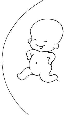 Иллюстрация к книге — Ваш любимый человечек от зачатия до рождения [i_014.jpg]