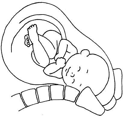 Иллюстрация к книге — Ваш любимый человечек от зачатия до рождения [i_026.jpg]