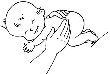 Иллюстрация к книге — Ваш любимый человечек от зачатия до рождения [i_028.jpg]