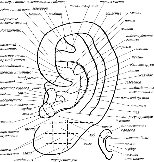 Иллюстрация к книге — Действуй как победитель [_5.jpg]