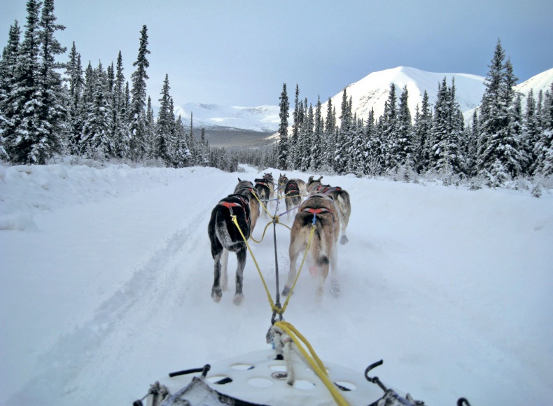 Иллюстрация к книге — Человек, который продал жизнь на eBay [a9r4635.jpg]