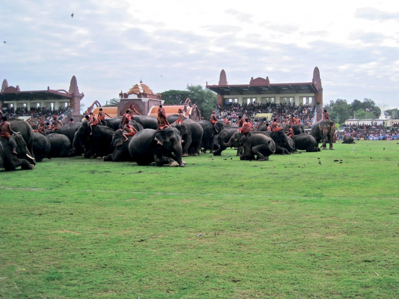 Иллюстрация к книге — Человек, который продал жизнь на eBay [a9r464b.jpg]