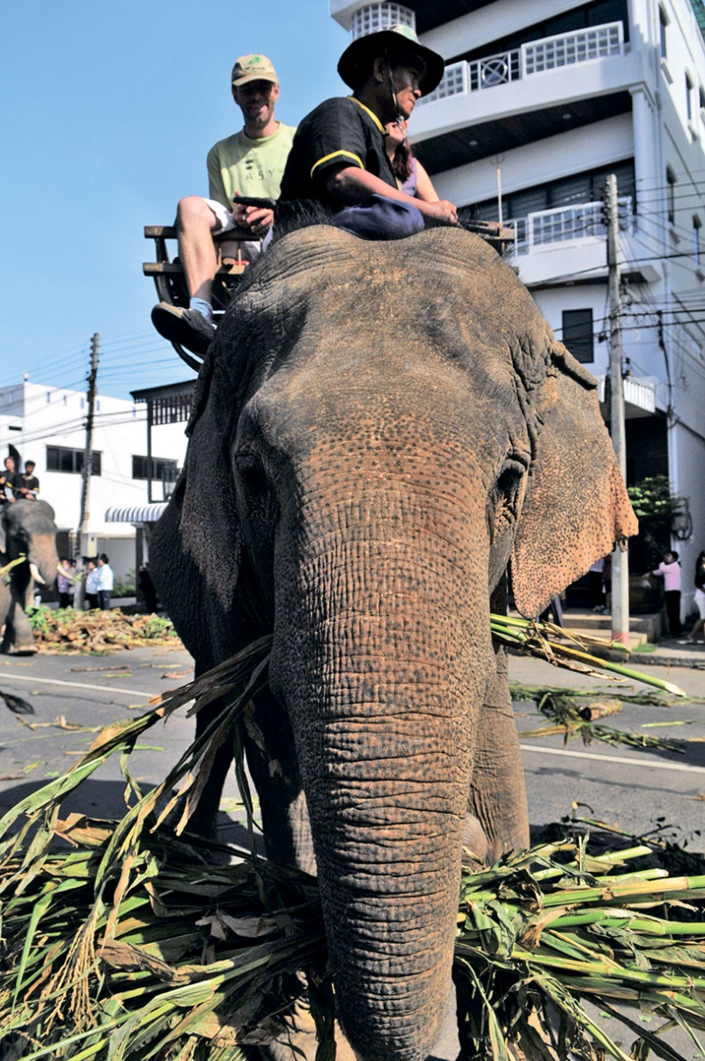 Иллюстрация к книге — Человек, который продал жизнь на eBay [a9r464d.jpg]