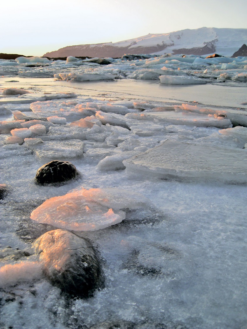 Иллюстрация к книге — Человек, который продал жизнь на eBay [a9r464f.jpg]