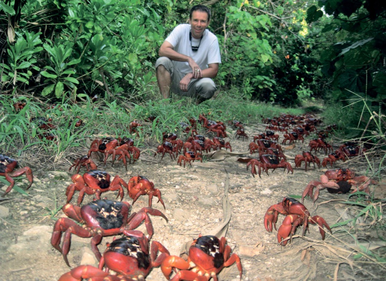 Иллюстрация к книге — Человек, который продал жизнь на eBay [a9r4651.jpg]