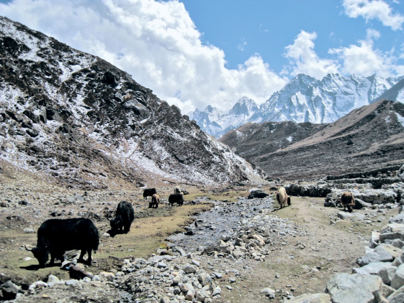 Иллюстрация к книге — Человек, который продал жизнь на eBay [a9r465f.jpg]