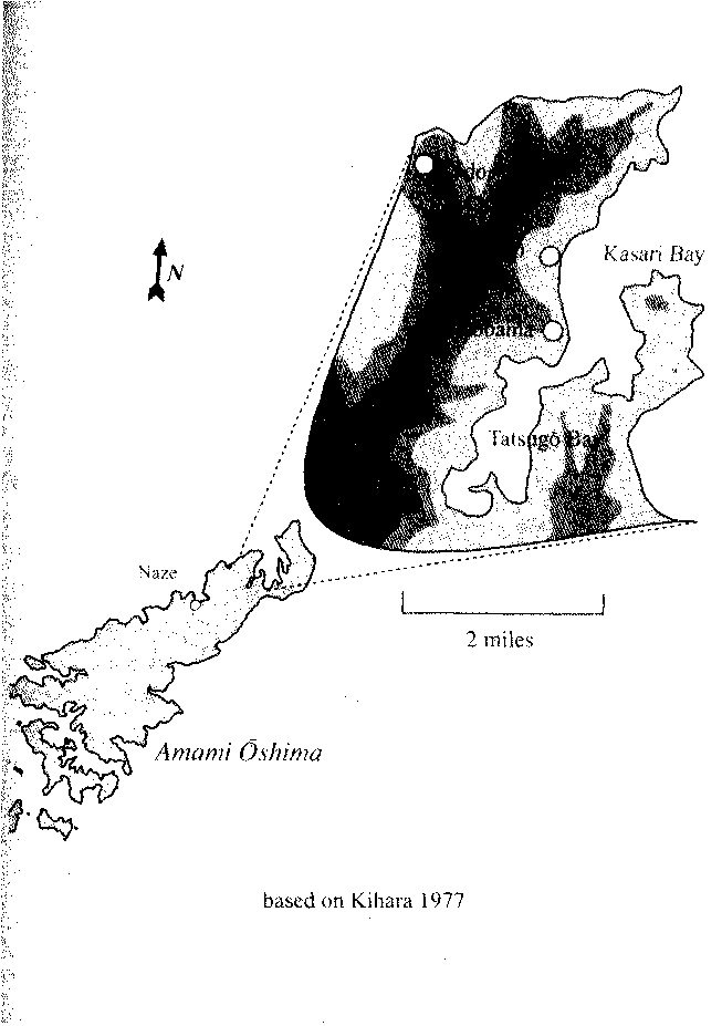 Иллюстрация к книге — Последний самурай [image5.jpg]