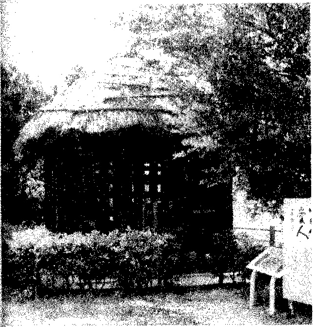 Иллюстрация к книге — Последний самурай [image7.jpg]