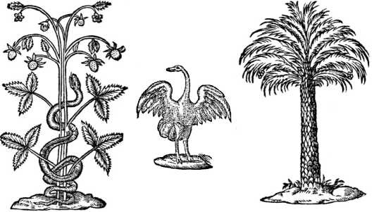 Иллюстрация к книге — Магия царей. Кто тайно правит миром [i_006.jpg]