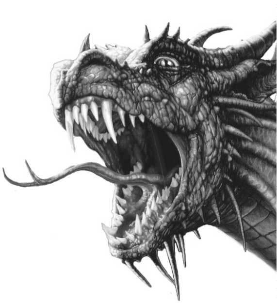 Иллюстрация к книге — Магия царей. Кто тайно правит миром [i_008.jpg]